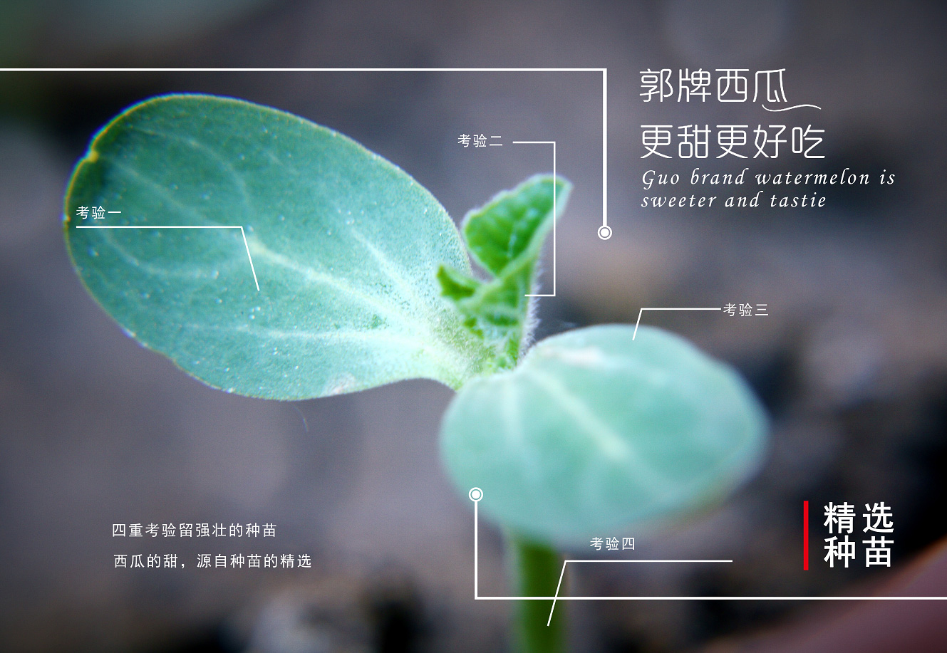 科技创新_03.jpg