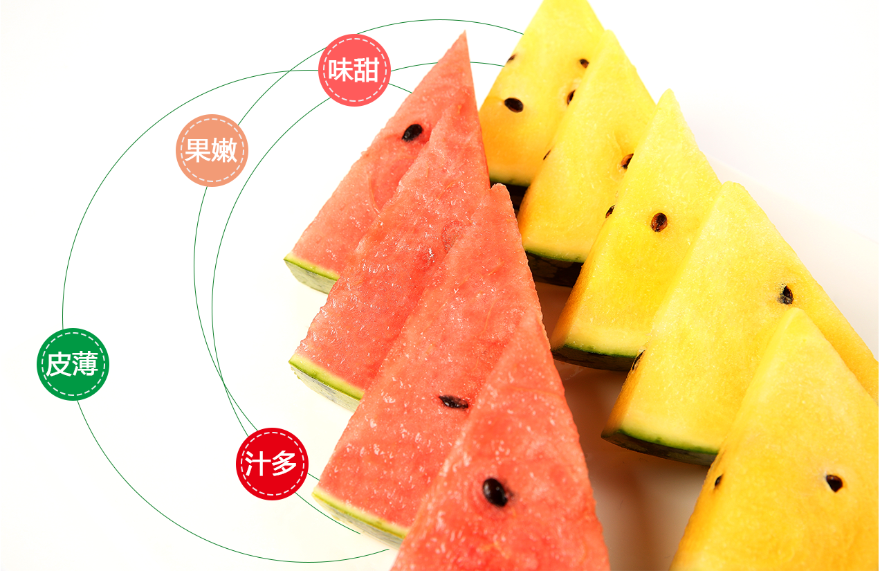 郭俩好.png